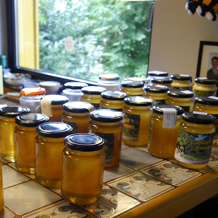 Infos über Bienenhonig